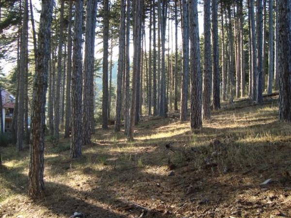 Terreno en calle Cerro Abantos, 5