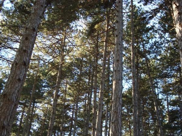 Terreno en calle Cerro Abantos, 5