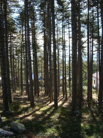 Terreno en calle Cerro Abantos, 5