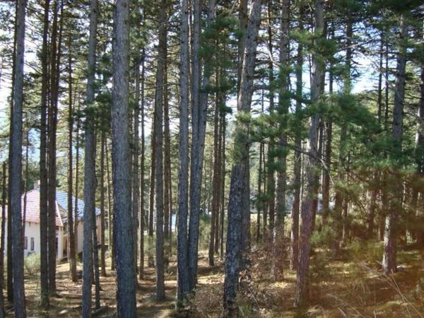 Terreno en calle Cerro Abantos, 5