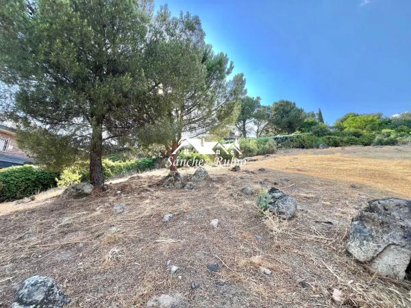 Terreno en avenida del Rodeo s/n