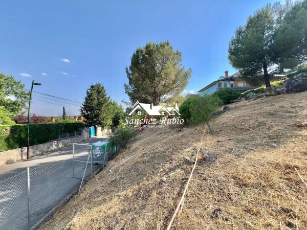 Terreno en avenida del Rodeo s/n