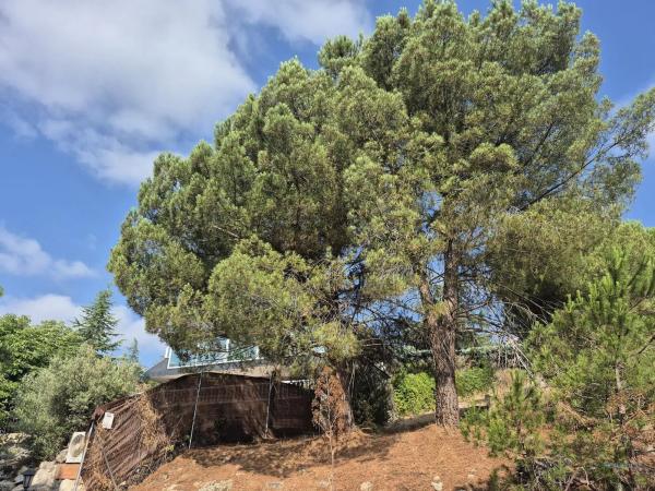 Terreno en Barrio El Monte