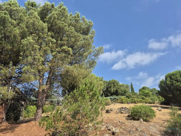 Terreno en Barrio El Monte