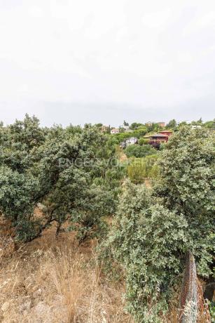 Terreno en Barrio El Monte