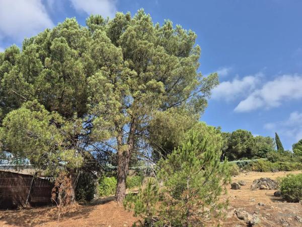 Terreno en Barrio El Monte