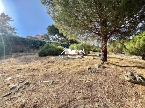 Terreno en avenida del Rodeo s/n