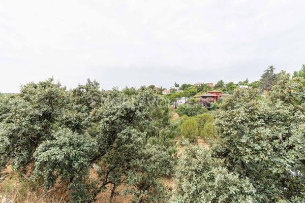 Terreno en Barrio El Monte