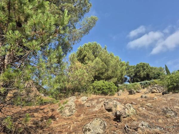 Terreno en Barrio El Monte