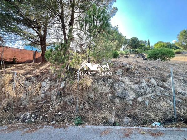 Terreno en avenida del Rodeo s/n