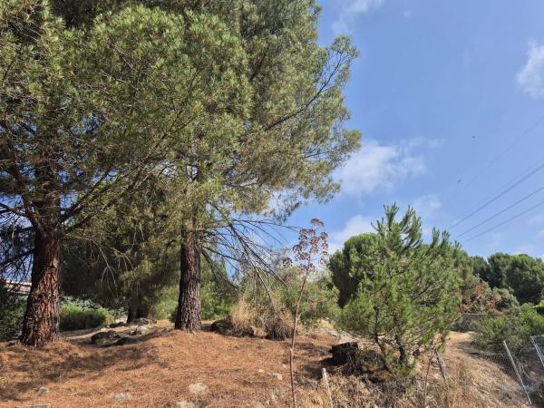 Terreno en Barrio El Monte