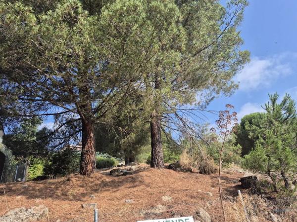 Terreno en Barrio El Monte