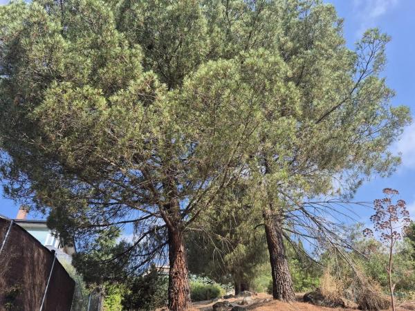 Terreno en Barrio El Monte