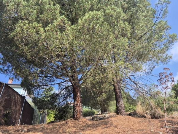 Terreno en Barrio El Monte