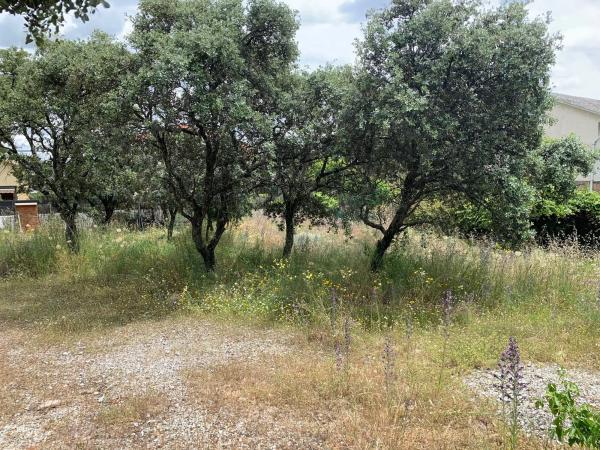 Terreno en calle Federico del Cerro, 25