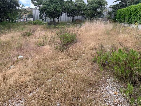 Terreno en calle Federico del Cerro, 25