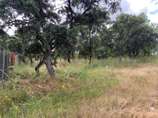 Terreno en calle Federico del Cerro, 25