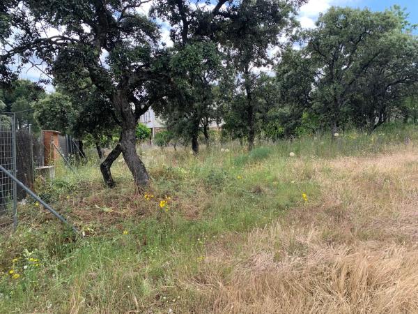Terreno en calle Federico del Cerro, 25