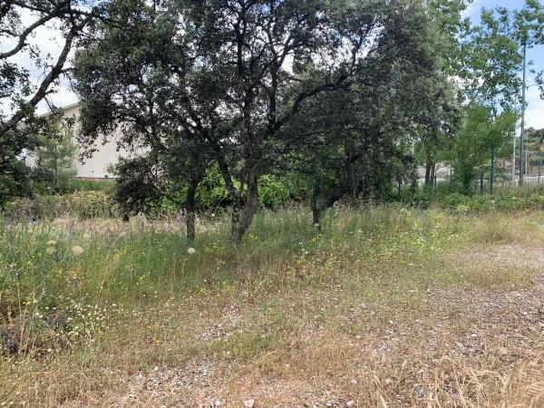 Terreno en calle Federico del Cerro, 25