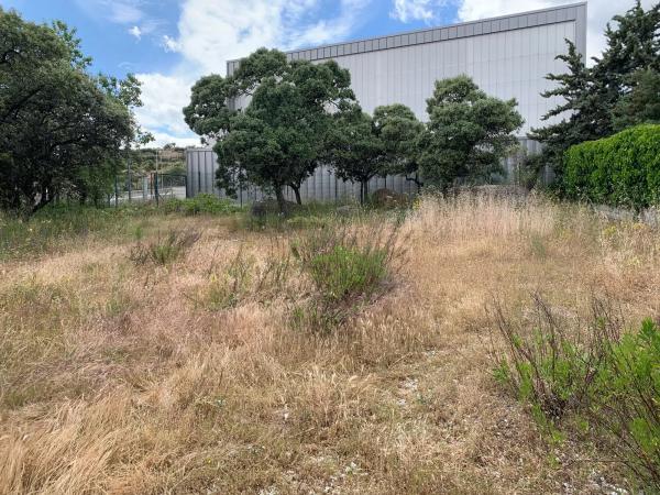 Terreno en calle Federico del Cerro, 25