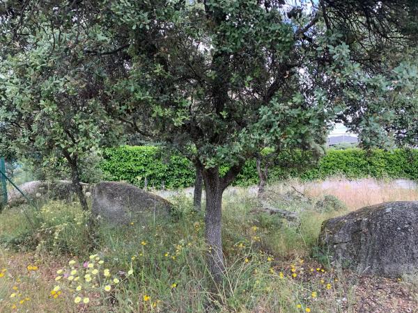 Terreno en calle Federico del Cerro, 25
