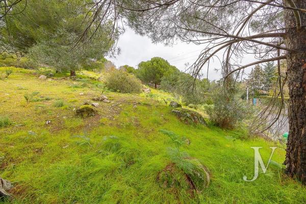 Terreno en Barrio El Monte
