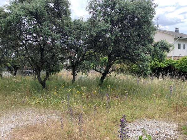 Terreno en calle Federico del Cerro, 25