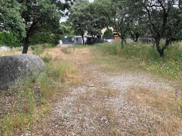 Terreno en calle Federico del Cerro, 25