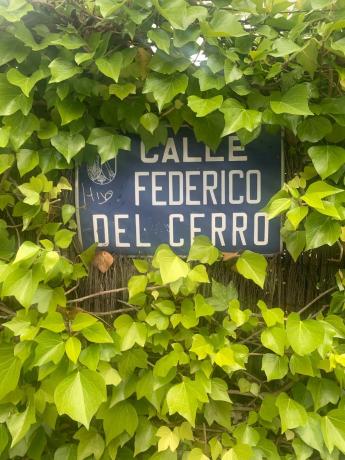 Terreno en calle Federico del Cerro, 25