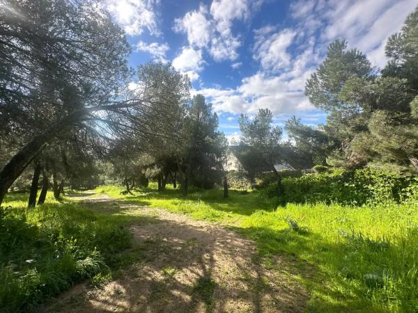 Terreno en avenida de la Loma