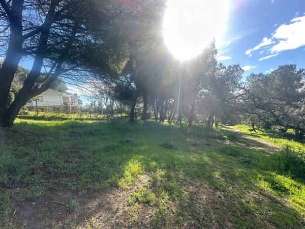Terreno en avenida de la Loma