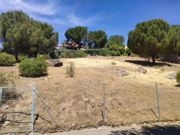 Terreno en avenida del Rodeo, 37