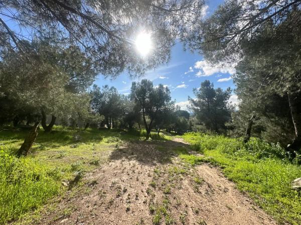 Terreno en avenida de la Loma