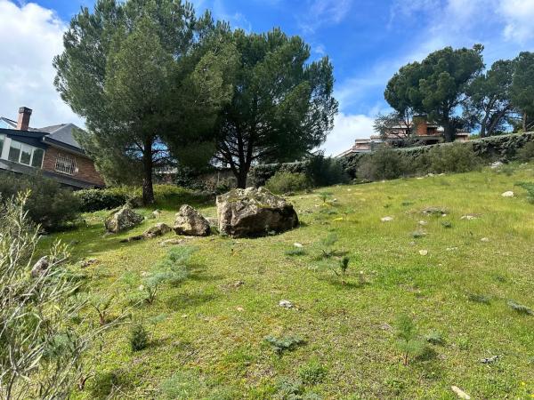 Terreno en avenida del Rodeo, 37