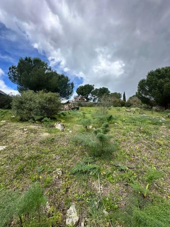 Terreno en avenida del Rodeo, 37