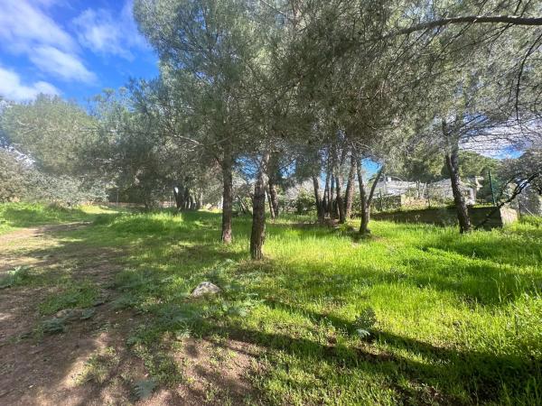 Terreno en avenida de la Loma