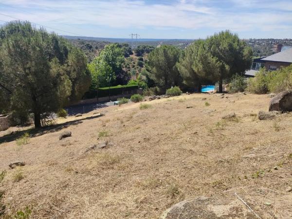 Terreno en avenida del Rodeo, 37