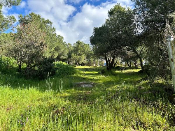 Terreno en calle Particular del Peñasco