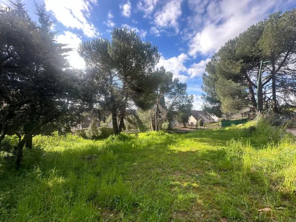 Terreno en avenida de la Loma