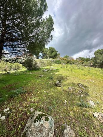 Terreno en avenida del Rodeo, 37