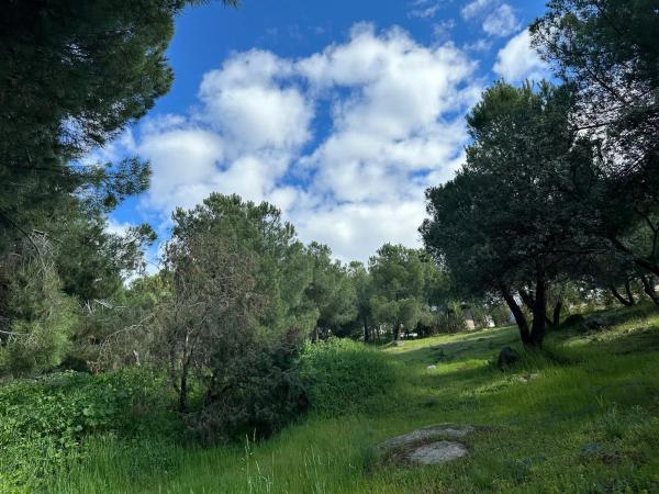Terreno en calle Particular del Peñasco