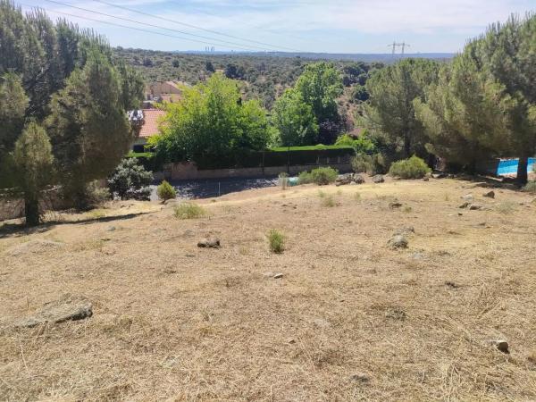 Terreno en avenida del Rodeo, 37