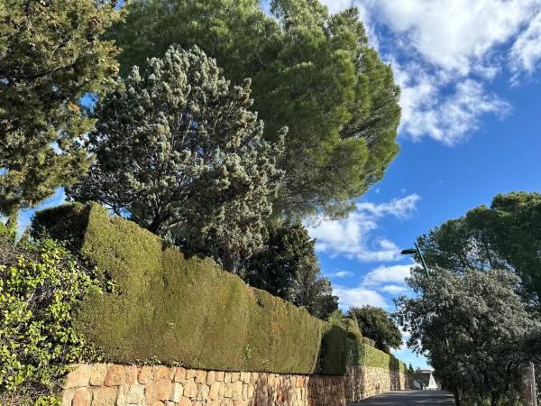 Terreno en avenida de la Loma