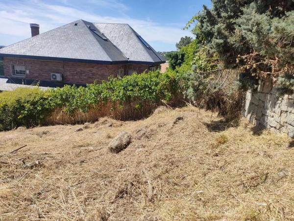 Terreno en avenida del Rodeo, 37