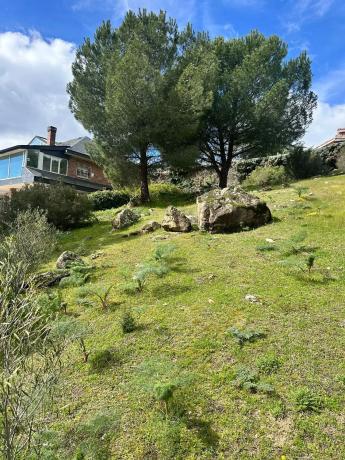 Terreno en avenida del Rodeo, 37