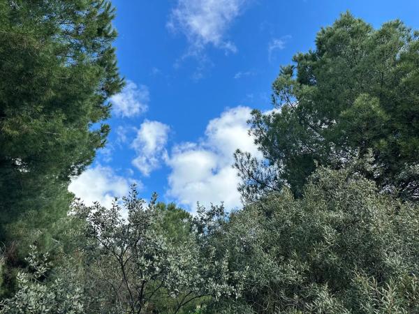 Terreno en calle Particular del Peñasco