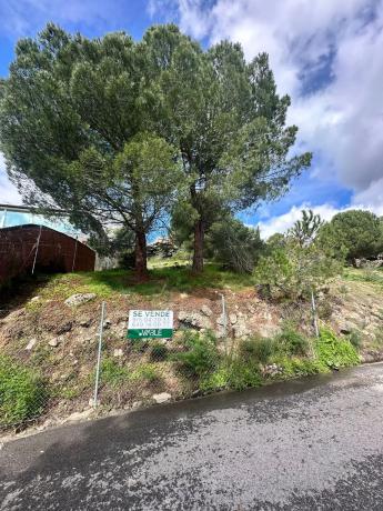 Terreno en avenida del Rodeo, 37