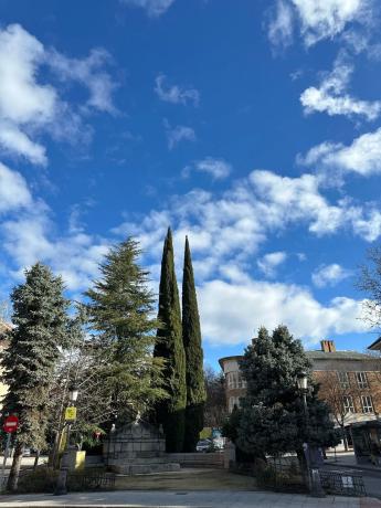 Terreno en avenida de la Loma