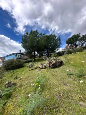 Terreno en avenida del Rodeo, 37