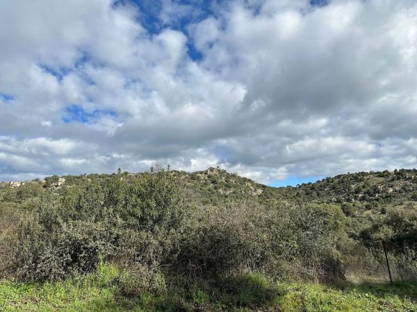 Terreno en calle Particular del Peñasco
